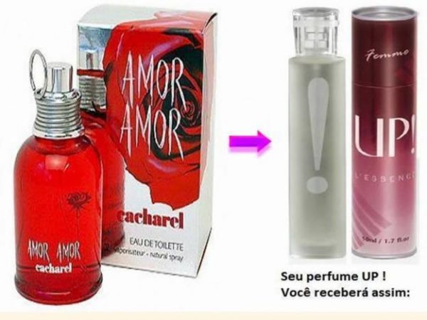 amor amor